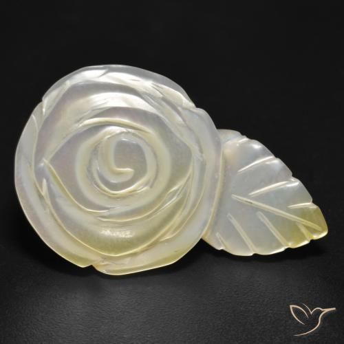 Nacre Blanc perle naturelle Taille Fleur, 17.04 ct, Opaque