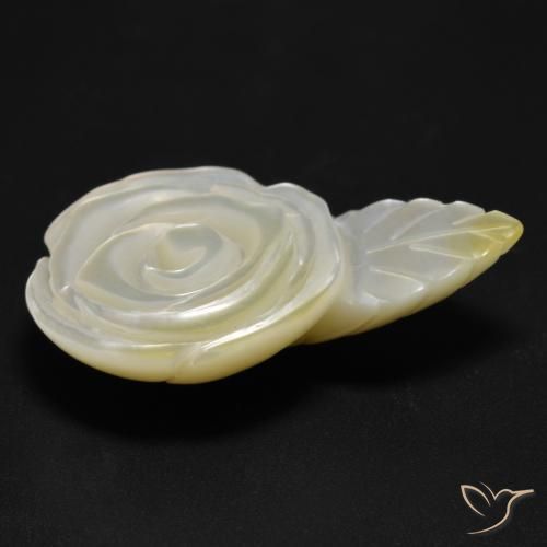 Nacre Blanc perle naturelle Taille Fleur, 17.04 ct, Opaque