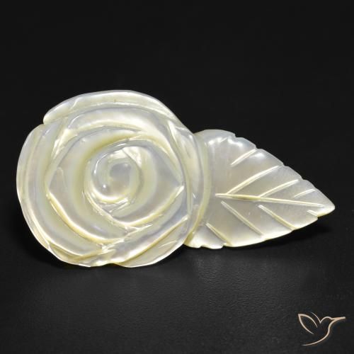 Nacre Blanc perle naturelle Taille Fleur, 14.35 ct, Opaque