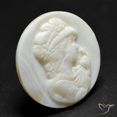 Nacre Blanc perle naturelle Tour, 14.43 ct, Opaque