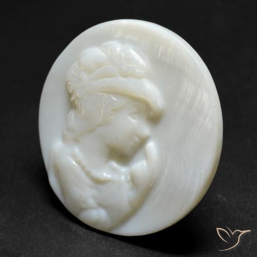 Nacre Blanc perle naturelle Tour, 12.81 ct, Opaque