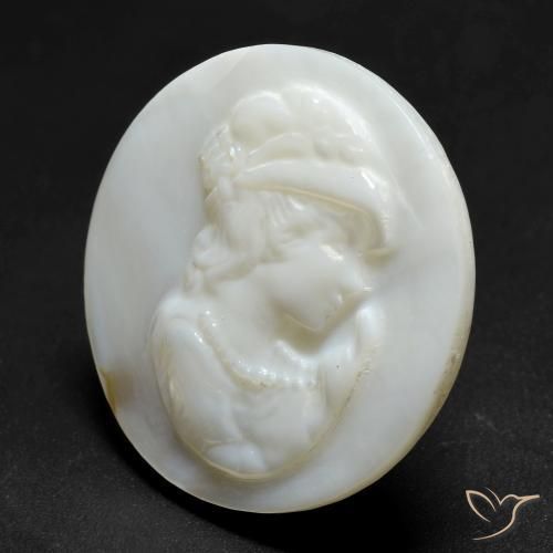 Nacre Blanc perle naturelle Tour, 13.70 ct, Opaque
