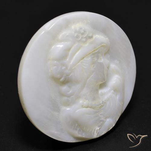 Nacre Blanc perle naturelle Tour, 16.81 ct, Opaque