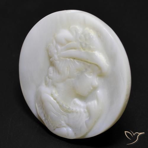 Nacre Blanc perle naturelle Tour, 16.81 ct, Opaque