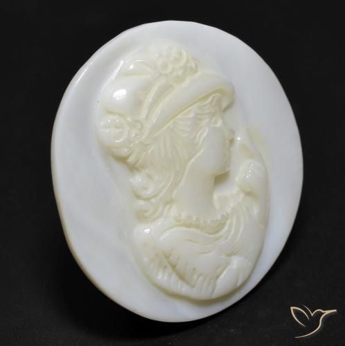 Nacre Blanc perle naturelle Tour, 12.98 ct, Opaque