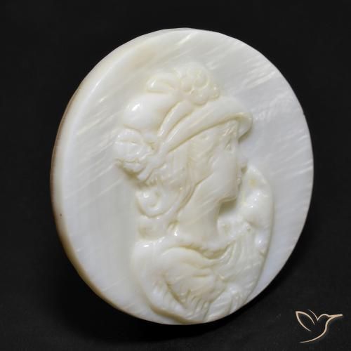 Nacre Blanc perle naturelle Tour, 16.55 ct, Opaque