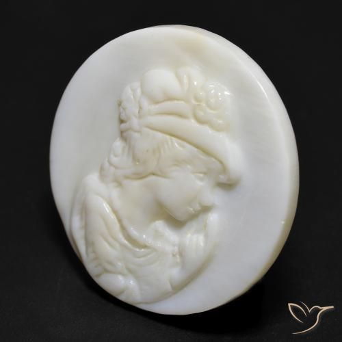Nacre Blanc perle naturelle Tour, 16.55 ct, Opaque