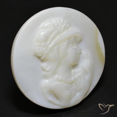 Nacre Blanc perle naturelle Tour, 15.28 ct, Opaque