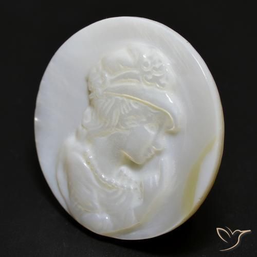 Nacre Blanc perle naturelle Tour, 15.28 ct, Opaque