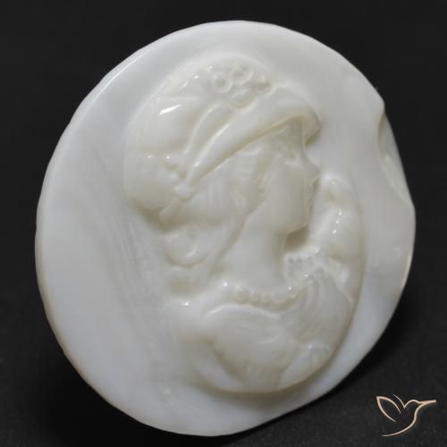 Nacre Blanc perle naturelle Tour, 13.54 ct, Opaque