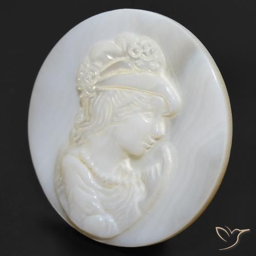 Nacre Blanc perle naturelle Tour, 15.14 ct, Opaque