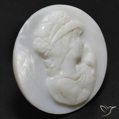 Nacre Blanc perle naturelle Tour, 12.91 ct, Opaque