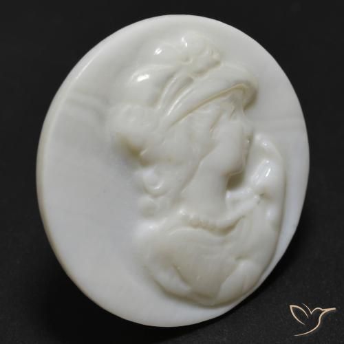 Nacre Blanc perle naturelle Tour, 11.66 ct, Opaque