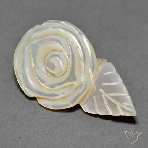 Nacre Blanc perle naturelle Taille Fleur, 18.79 ct, Opaque