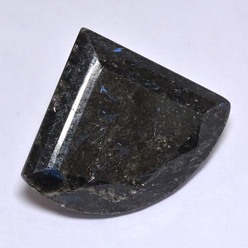 Nuummite Noire naturelle Forme fantaisie, 25.81 ct, Opaque