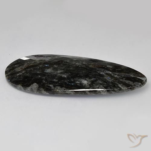 Nuummite Noir avec étincelle bleue naturelle En forme de poire, 35.82 ct, Opaque