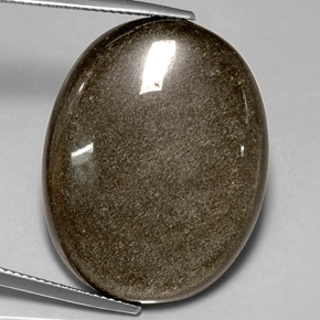 Obsidienne Éclat d'Or naturelle Coupe ovale, 30.57 ct, Opaque