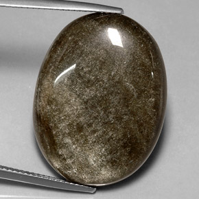 Obsidienne Éclat d'Or naturelle Coupe ovale, 23.77 ct, Opaque