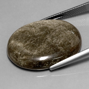 Obsidienne Éclat d'Or naturelle Coupe ovale, 23.77 ct, Opaque