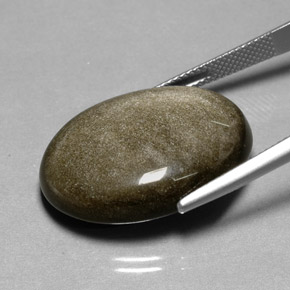 Obsidienne Éclat d'Or naturelle Coupe ovale, 22.53 ct, Opaque