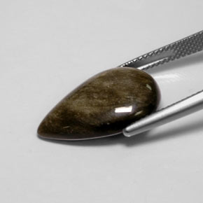 Obsidienne Éclat d'Or naturelle En forme de poire, 7.12 ct, Opaque