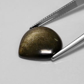 Obsidienne Éclat d'Or naturelle En forme de poire, 7.13 ct, Opaque