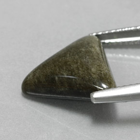 Obsidienne Éclat d'Or naturelle Trillion, 4.65 ct, Opaque