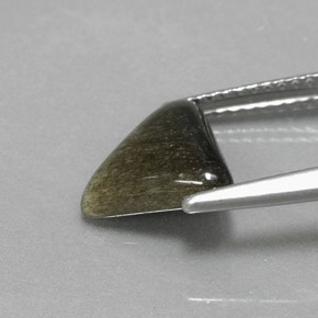 Obsidienne Éclat d'Or naturelle Trillion, 1.67 ct, Opaque