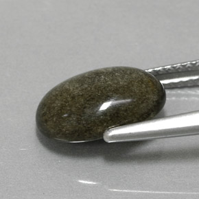 Obsidienne Éclat d'Or naturelle Coupe ovale, 2.30 ct, Opaque