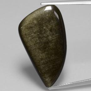 Obsidienne Noir lustre doré naturelle Forme fantaisie, 11.73 ct, Opaque