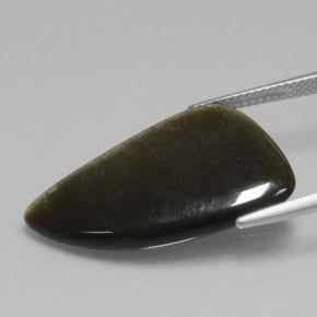 Obsidienne Noir lustre doré naturelle Forme fantaisie, 11.73 ct, Opaque