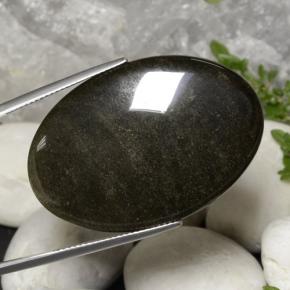 Obsidienne Noir lustre doré naturelle Coupe ovale, 31.63 ct, Opaque