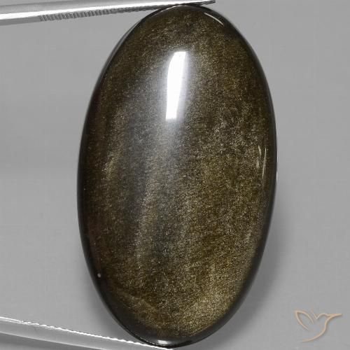 51.67ct Naturel Noir avec reflets dorés Obsidienne, ovale, Opaque