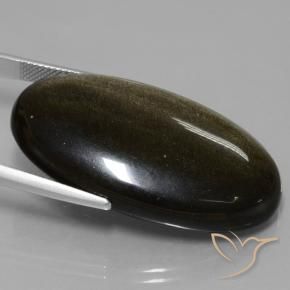 Obsidienne Noir avec reflets dorés naturelle ovale, 51.67 ct, Opaque