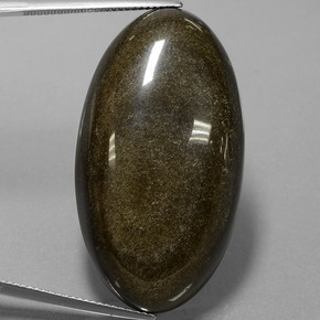 Obsidienne Éclat d'Or naturelle Coupe ovale, 52.66 ct, Opaque