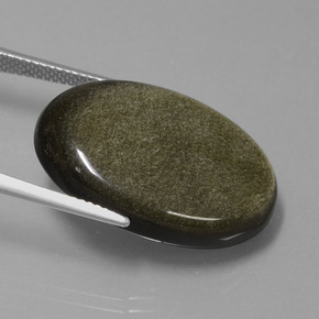Obsidienne Éclat d'Or naturelle Coupe ovale, 20.41 ct, Opaque