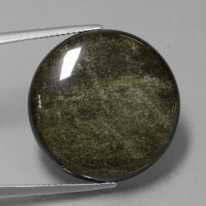 Obsidienne Brun noirâtre léger naturelle Coupe roude, 24.98 ct, Opaque