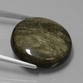 Obsidienne Brun noirâtre léger naturelle Coupe roude, 24.98 ct, Opaque