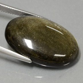 Obsidienne Éclat d'Or naturelle Coupe ovale, 23.69 ct, Opaque