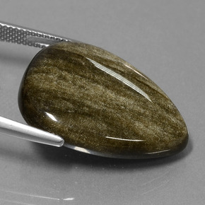 Obsidienne Éclat d'Or naturelle En forme de poire, 19.38 ct, Opaque
