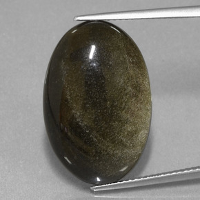 Obsidienne or naturelle coupe ovale, 15,30 ct, opaque