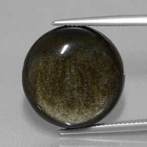 Obsidienne Lustre doré noir naturelle Coupe roude, 19.72 ct, Opaque