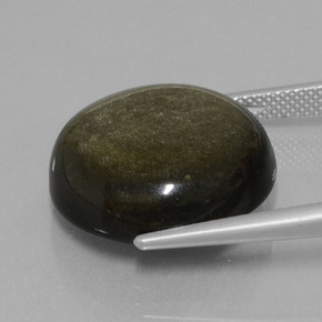 Obsidienne Lustre doré noir naturelle Coupe roude, 19.72 ct, Opaque