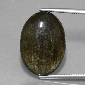 Obsidienne Lustre doré noir naturelle Coupe ovale, 14.10 ct, Opaque