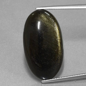 Obsidienne lustre doré noir naturelle coupe ovale, 15,17 ct, opaque