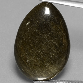 Obsidienne Éclat d'Or naturelle En forme de poire, 13.81 ct, Opaque
