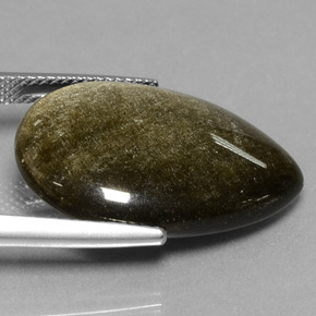 Obsidienne Éclat d'Or naturelle En forme de poire, 13.81 ct, Opaque