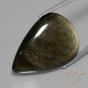Obsidienne Noir avec reflets dorés naturelle En forme de poire, 27.71 ct, Opaque