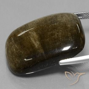Obsidienne doré naturelle coupe coussin, 31,71 ct, opaque