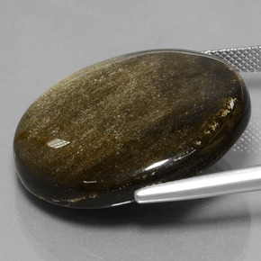 Obsidienne noir naturelle coupe roude, 38,01 ct, opaque